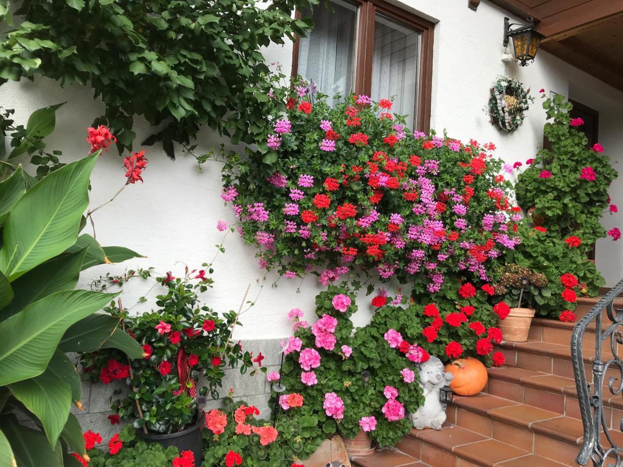 Haus Katharina Hotel Wagrain Luaran gambar
